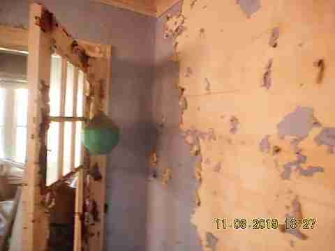 2220 Collingwood (29)_m.jpg